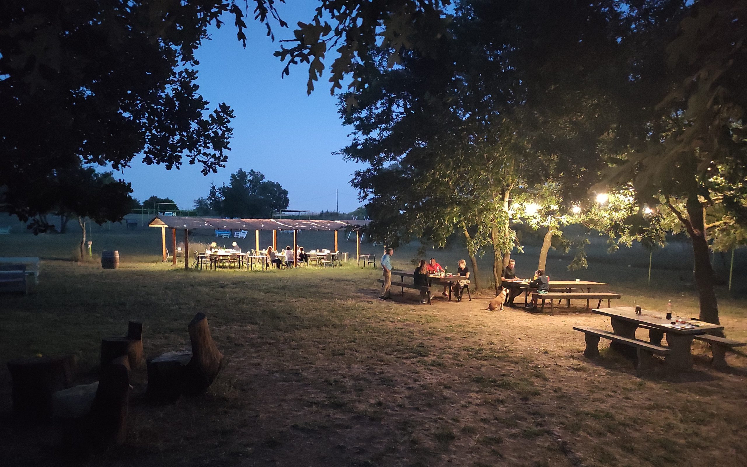 Area barbecue e picnic