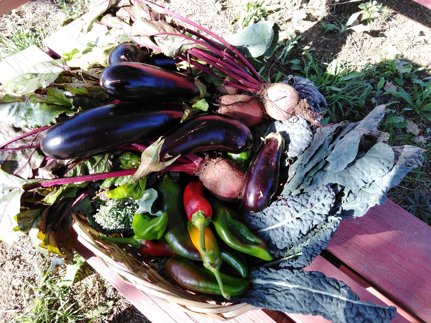 Degustazione di prodotti agricoli, carne e vino