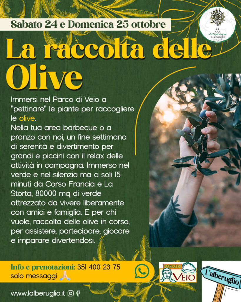 la raccolta delle olive